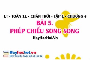 Phép chiếu song song là gì, tính chất cơ bản của phép chiếu song song và hình biểu diễn? Toán 11 chân trời Tập 1 chương 4 Bài 5